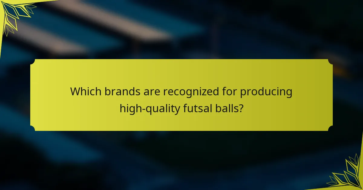 Which brands are recognized for producing high-quality futsal balls?