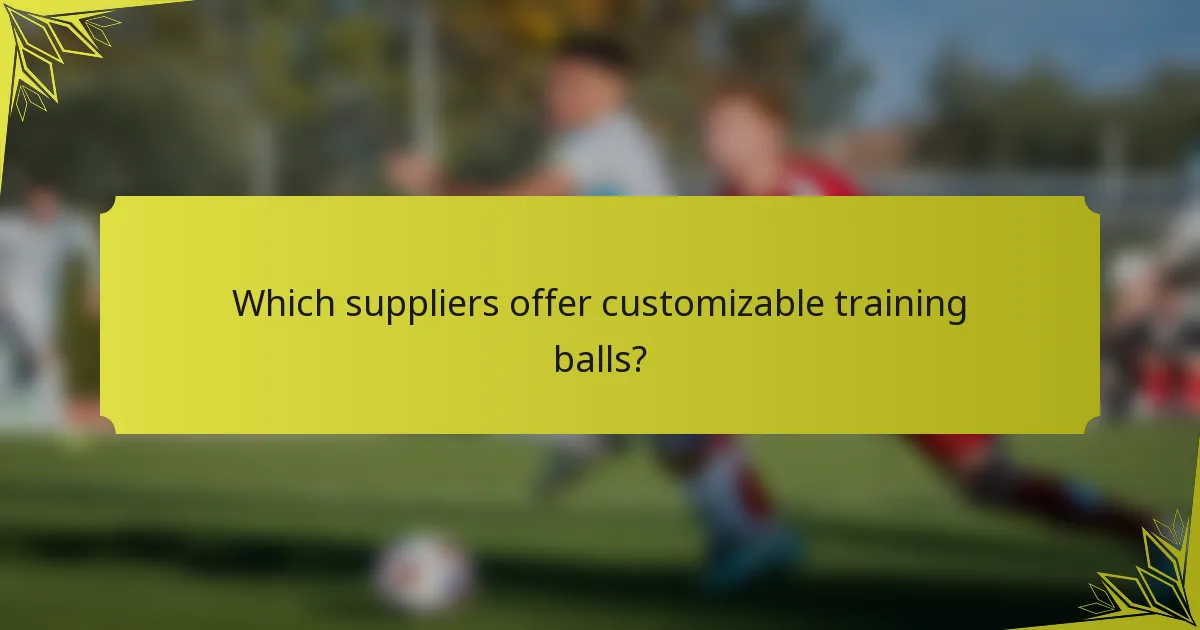 Which suppliers offer customizable training balls?